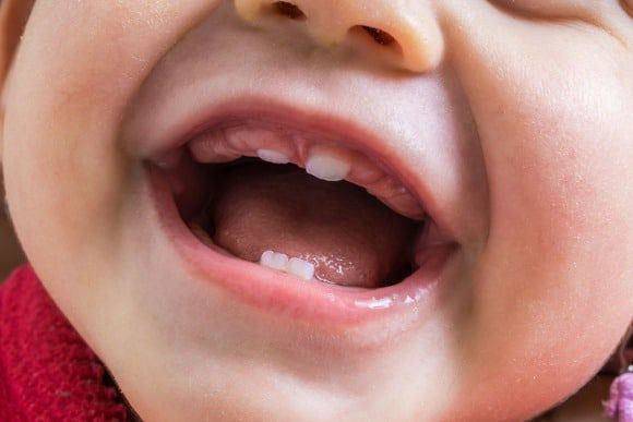 Primeiros Dentes do Bebê Nascendo