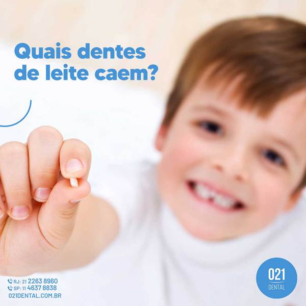 Quais dentes de leite caem?