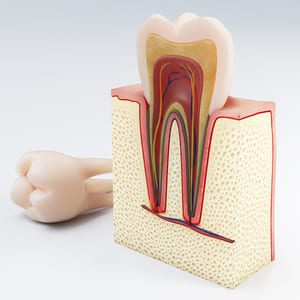 Você pode realizar seu Canal na BRdental.​