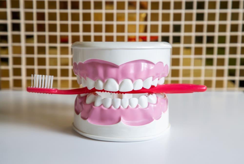 Como cuidar da prótese de porcelana no dia a dia