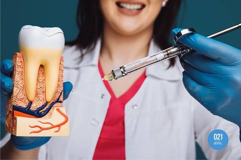 dentista segurando modelo que representa um dente, demonstrando como funciona o tratamento de canal
