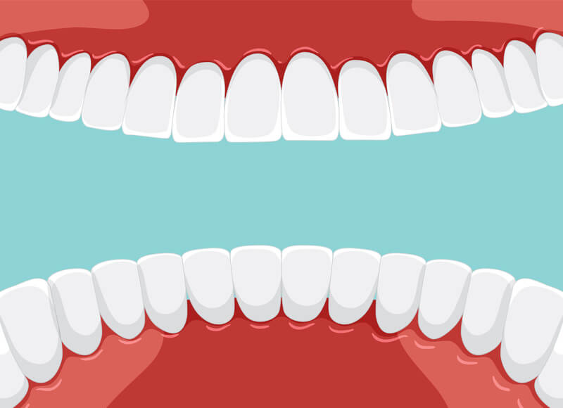 A Fascinante Jornada dos Dentes Humanos