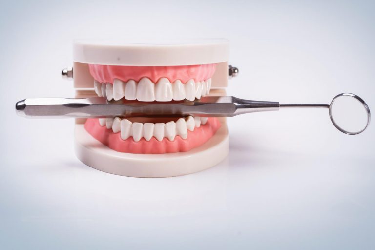 Descobrindo o Universo Bucal Quantos Dentes Temos na Boca